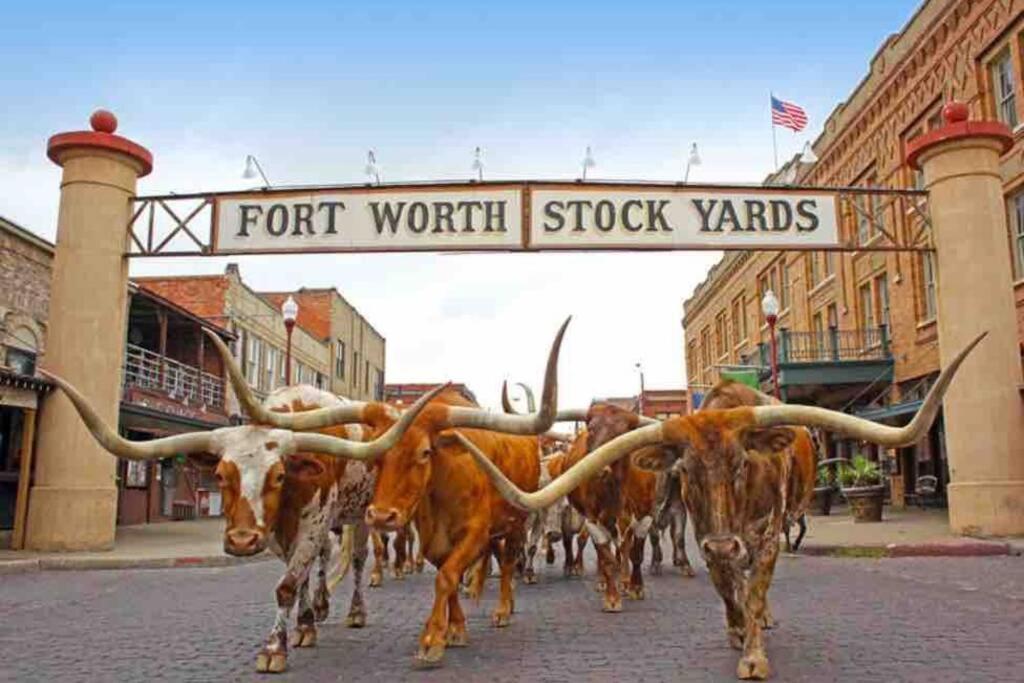 **min Frm Dwntwn Fort Worth*modern*cozy*townhome** Holiday home Fort Worth