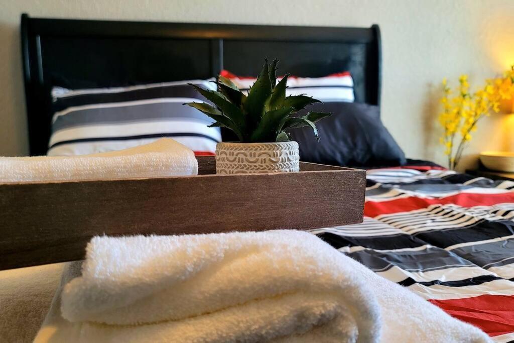 Apartment Cozy Fortworth Near *10mins To Downtown*fort Worth Zoo Fort Worth