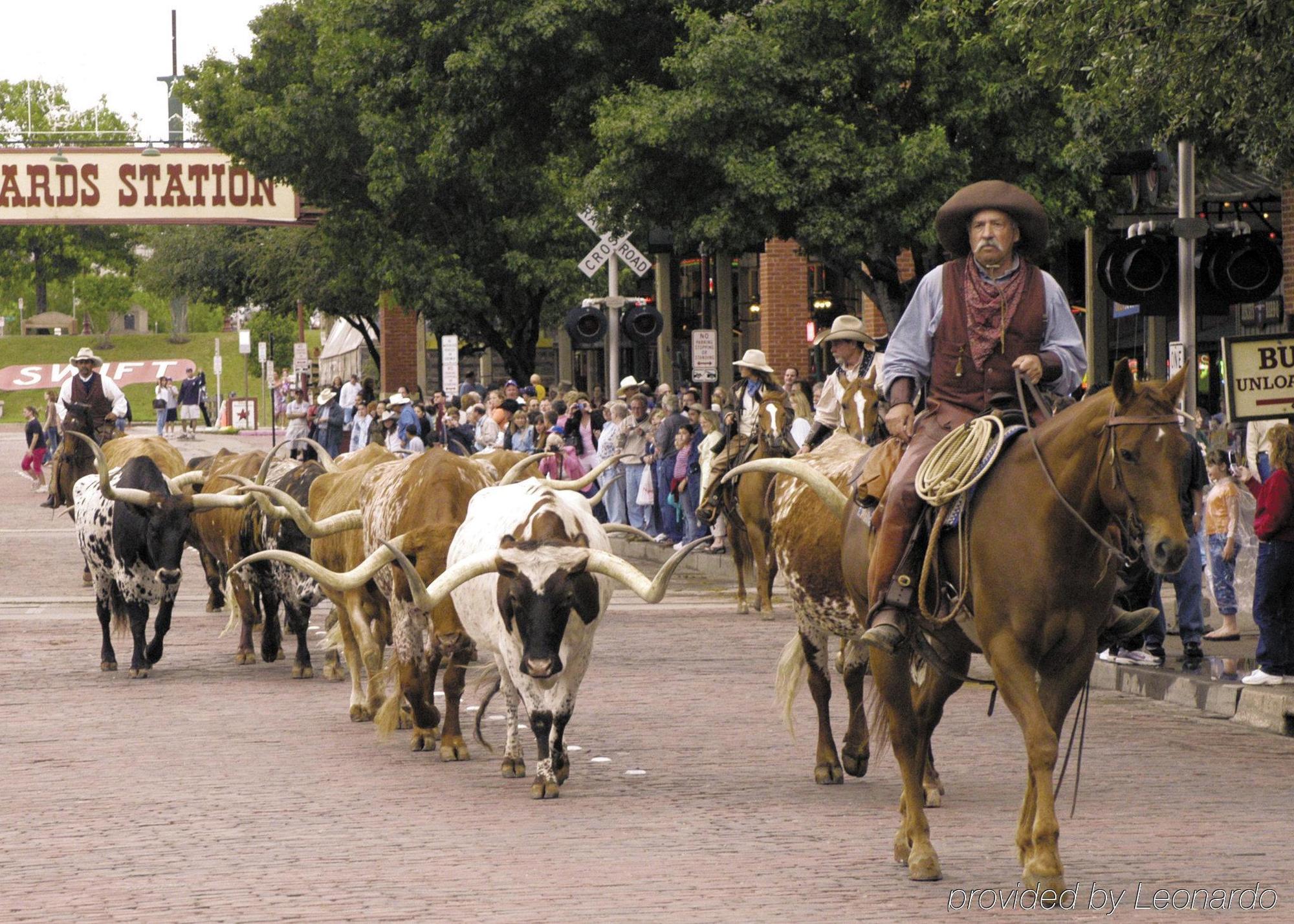 Western Worth &