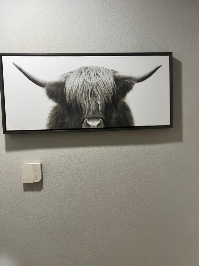 Cowtown 1 Bedroom Downtown Ftw Apartment Fort Worth
