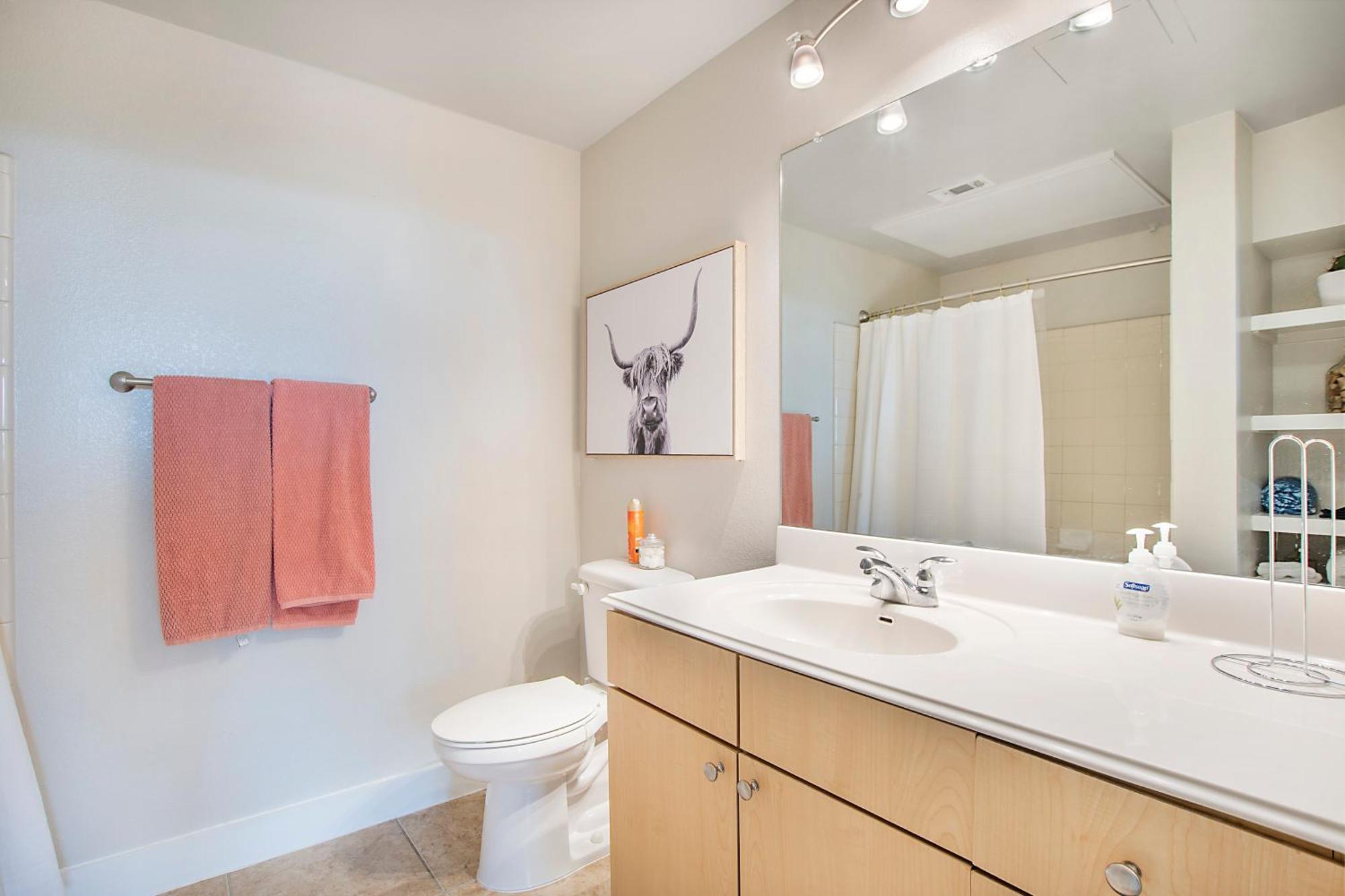 Cowtown 1 Bedroom Downtown Ftw Apartment